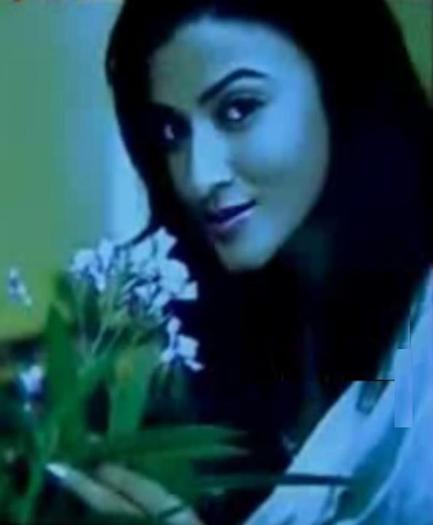 527350_388667467834114_1313942192_n