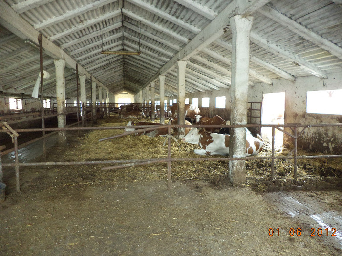 Ferma de la Iara de Mures; Acolo avem la ei pamant in arenda si trebuie sa primim anul asta porumb 700 de kg
