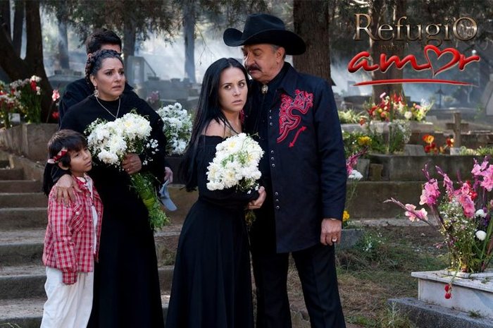 23132731036594_312298732119995_1966779_1866426031_n