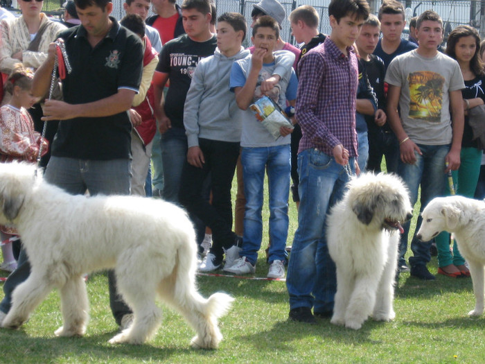 expopastoralis Rucar2012 - Draga