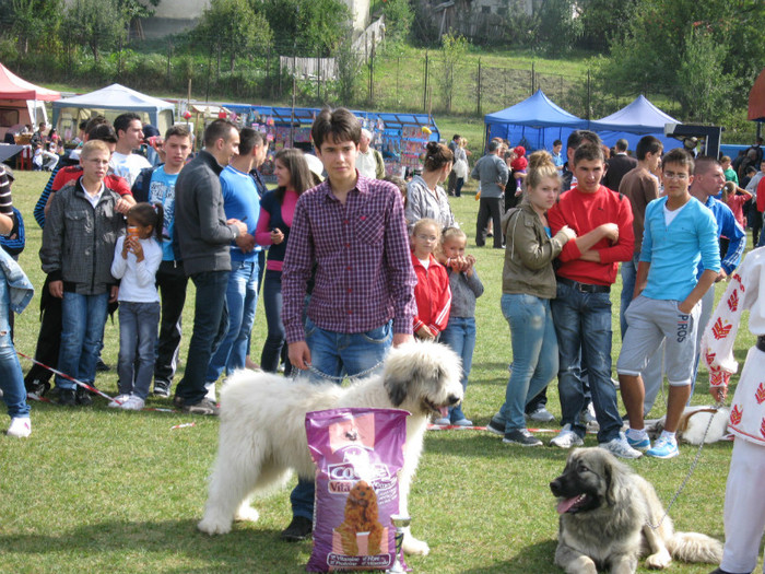best puppy expopastoralis 2012