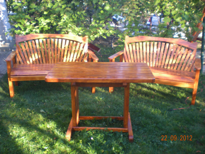 DSCN5162 - Set gradina 2 banci si o masa