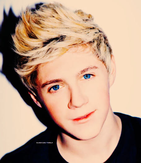 XxLoveSongForeverxX; Niall Horan
