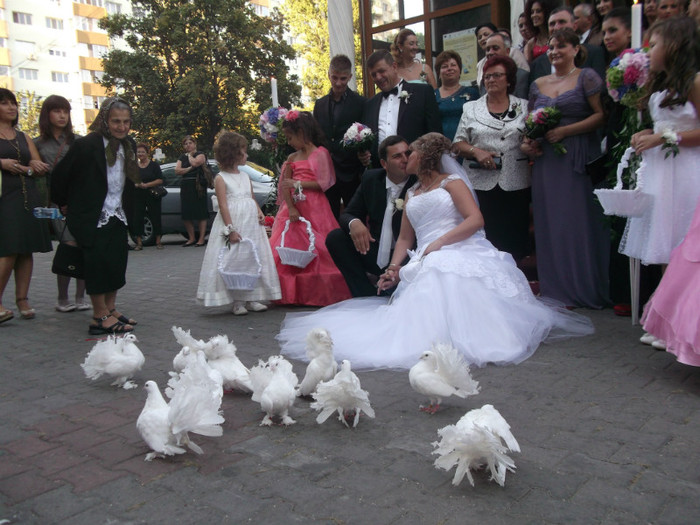 23.09.2012 - 12  PORUMBEI ALBI LA NUNTI