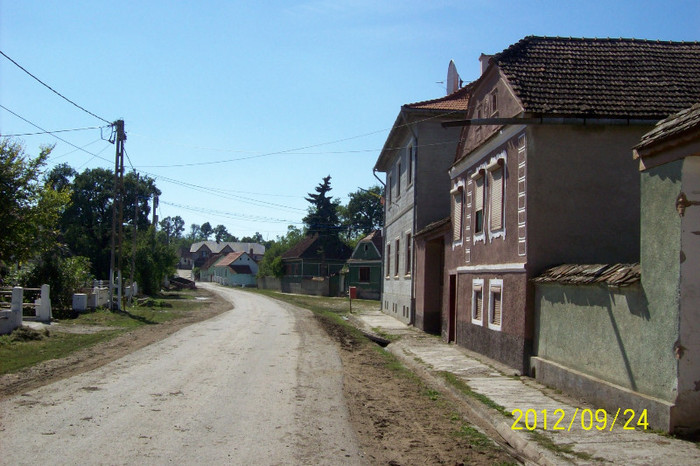 100_9628