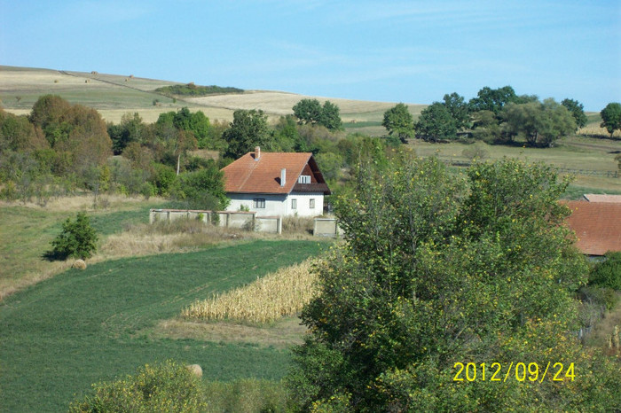 100_9667