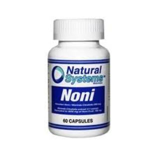 images (28) - Noni-Morinda Citrifolia-disponibil din toamna