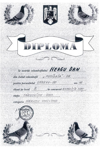 diploma expo nationala bunic 255577-00