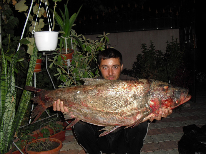 fitofag 16kg - pescuit