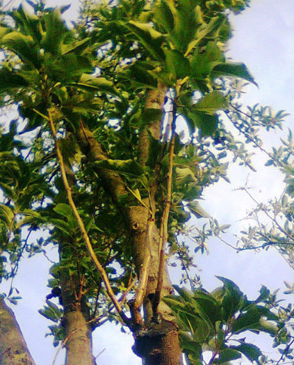 acelasi mar pe mar; in apropiere
