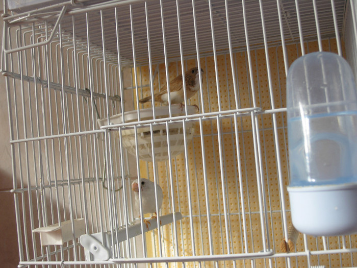 eiiiii...........; 2012
