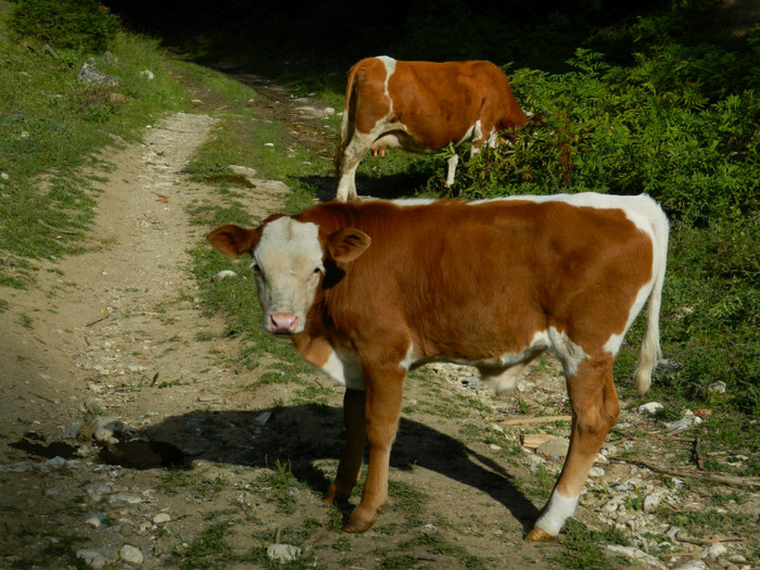 DSCN0864 - 4 Vacanta Septembrie 2012