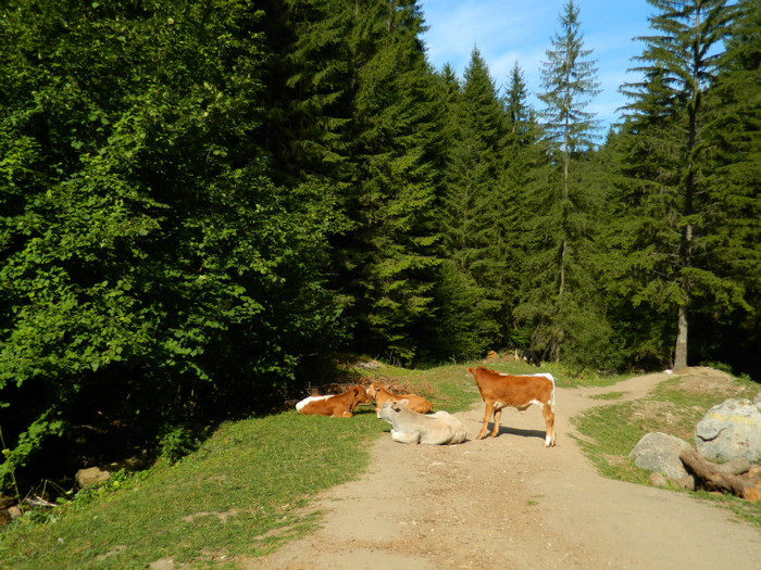 DSCN0867 - 4 Vacanta Septembrie 2012