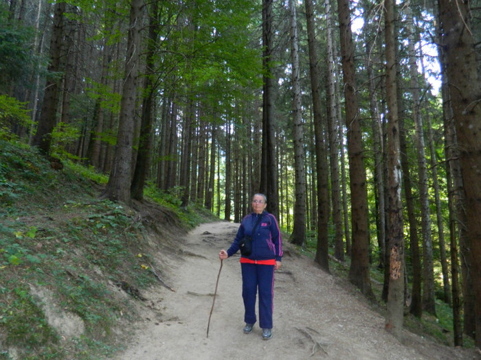 DSCN0873 - 4 Vacanta Septembrie 2012