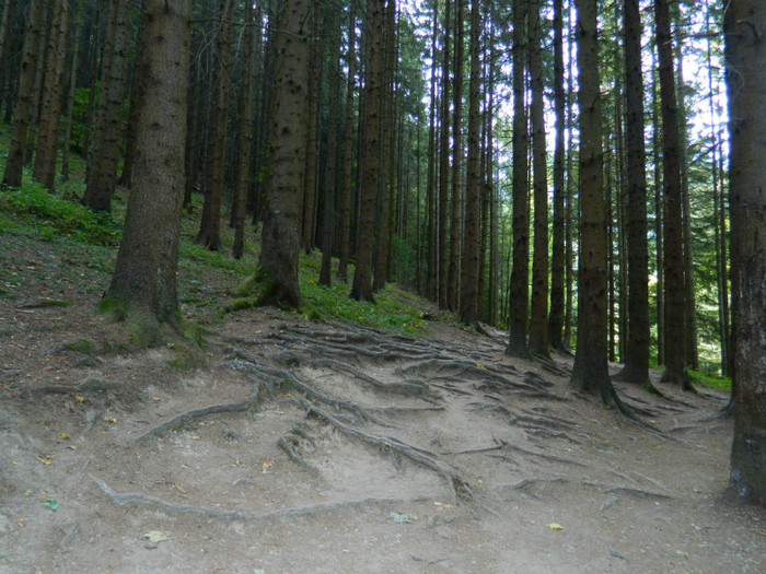 DSCN0874 - 4 Vacanta Septembrie 2012