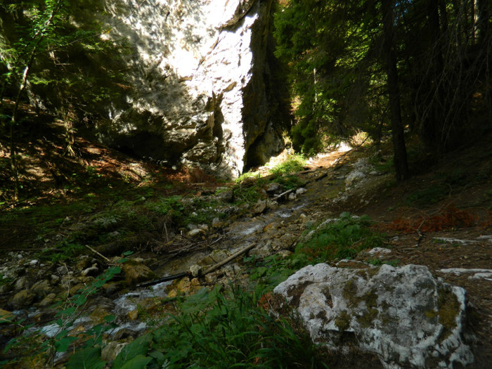 DSCN0896 - 4 Vacanta Septembrie 2012