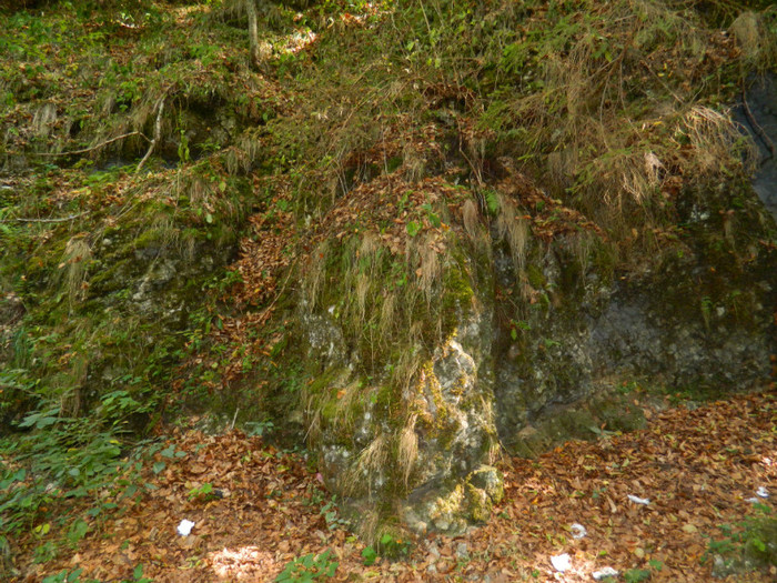 DSCN0901 - 4 Vacanta Septembrie 2012