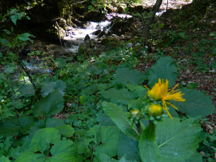 DSCN0906 - 4 Vacanta Septembrie 2012