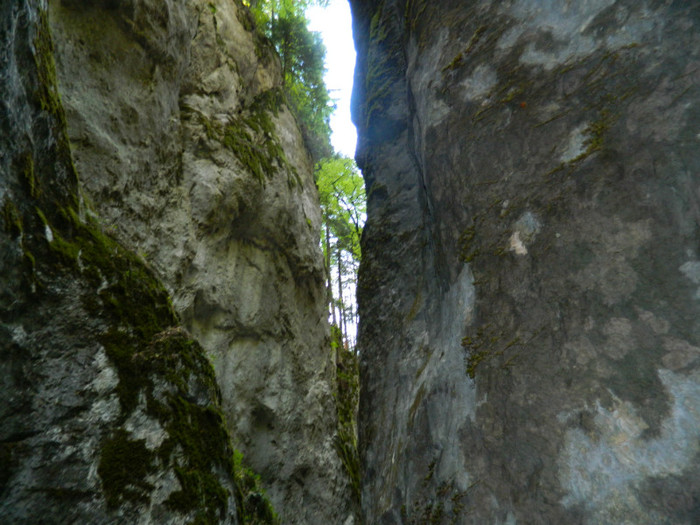 DSCN0962 - 4 Vacanta Septembrie 2012