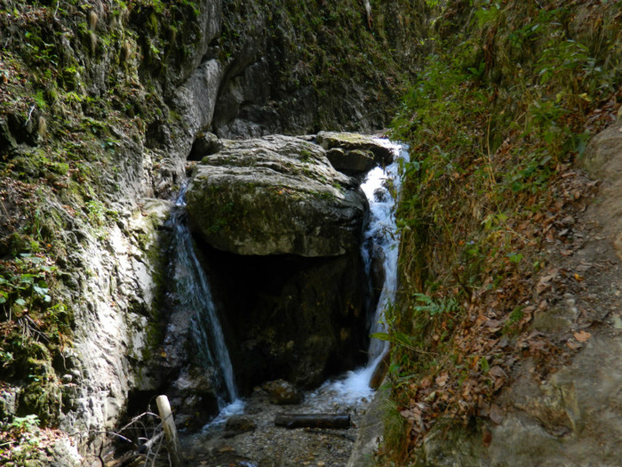 DSCN0990 - 4 Vacanta Septembrie 2012