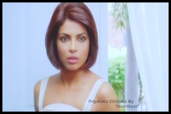 559487_281697961924367_1386837781_n