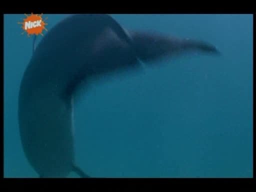 vlcsnap-00222 - Caps - Epi 03 S3 H2O