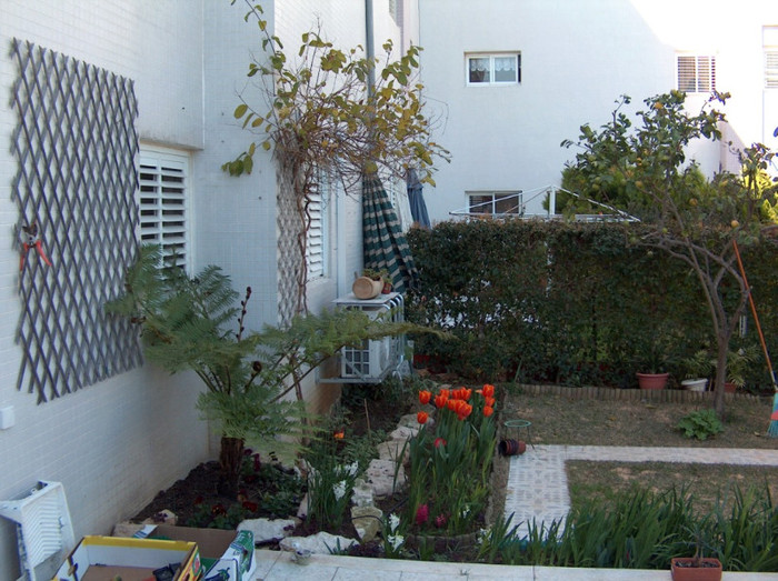 HPIM0469 - gradina-continuare