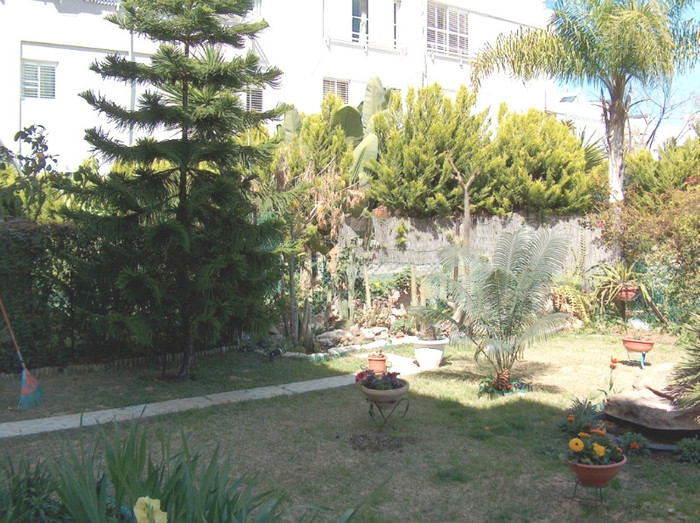HPIM0471 - gradina-continuare