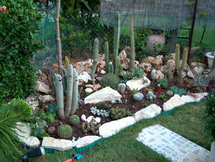 HPIM2703 - gradina-continuare