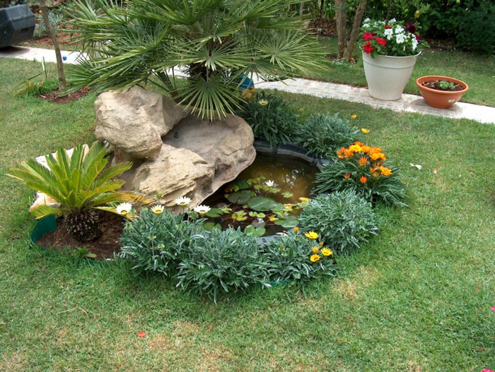 HPIM2831 - gradina-continuare