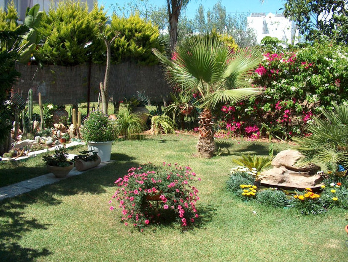 HPIM2899 - gradina-continuare