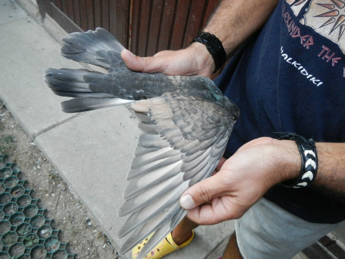 DSCN8271 - 1805 Catalin Radu