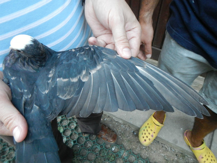 DSCN8275 - 1805 Catalin Radu