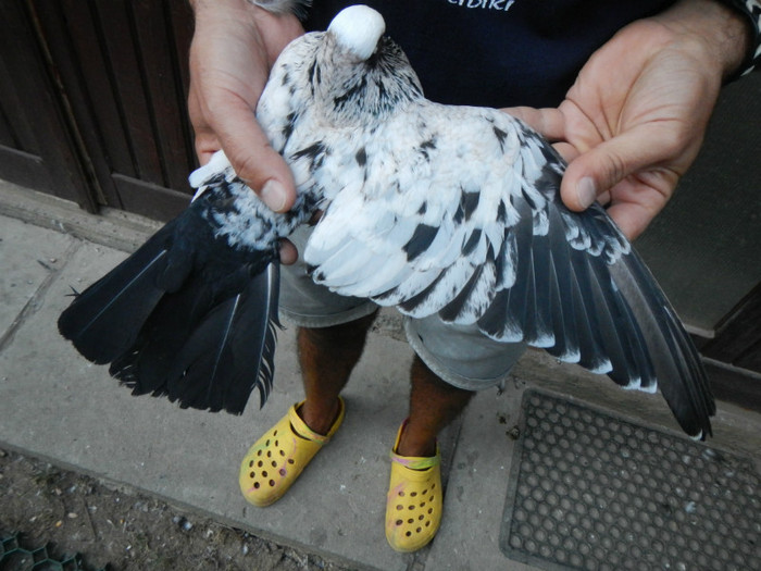 DSCN8299 - 1805 Catalin Radu