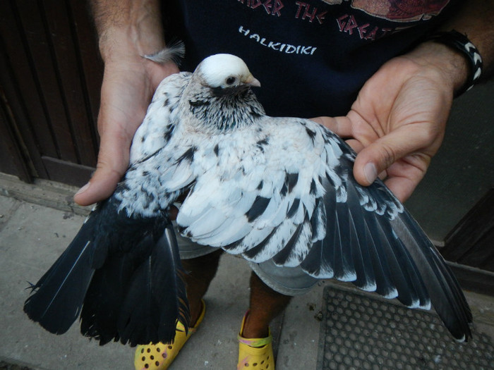 DSCN8300 - 1805 Catalin Radu