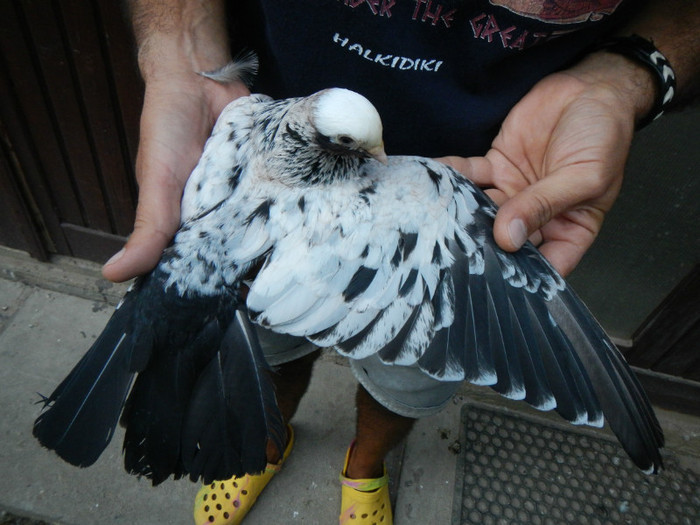 DSCN8301 - 1805 Catalin Radu