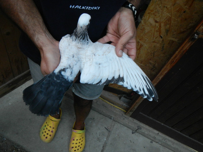 DSCN8302 - 1805 Catalin Radu