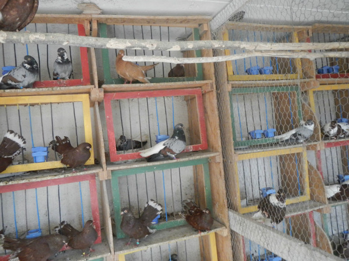 DSCN8053 - Vrapciu 1