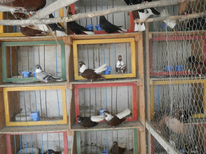 DSCN8060 - Vrapciu 1