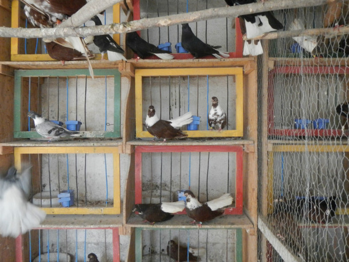 DSCN8061 - Vrapciu 1