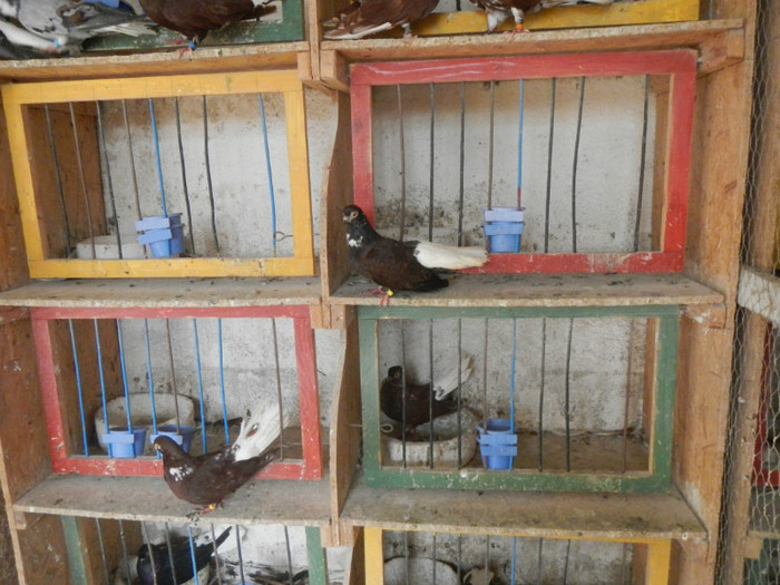 DSCN8063 - Vrapciu 1