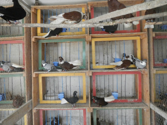 DSCN8065 - Vrapciu 1