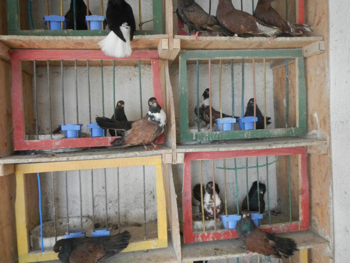 DSCN8070 - Vrapciu 1