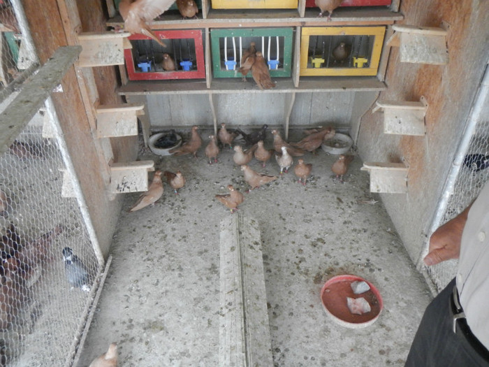 DSCN7996 - Vrapciu 2