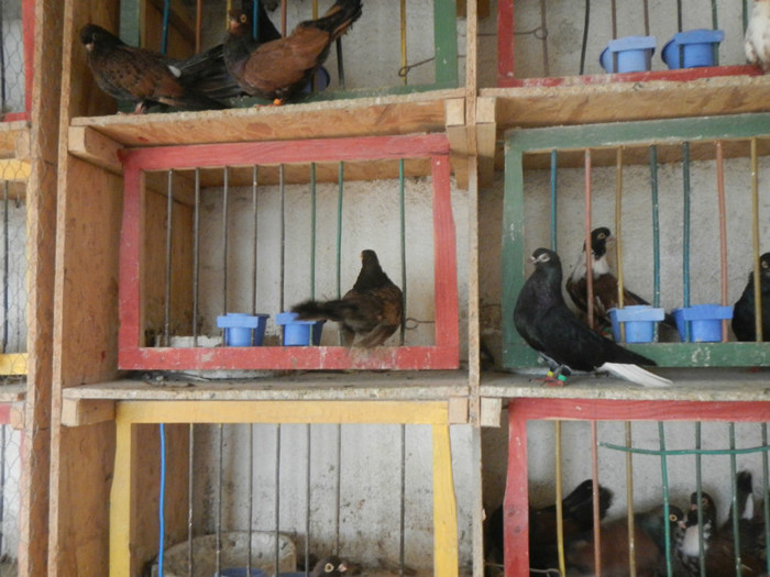 DSCN8080 - Vrapciu 1