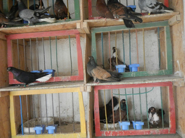 DSCN8083 - Vrapciu 1