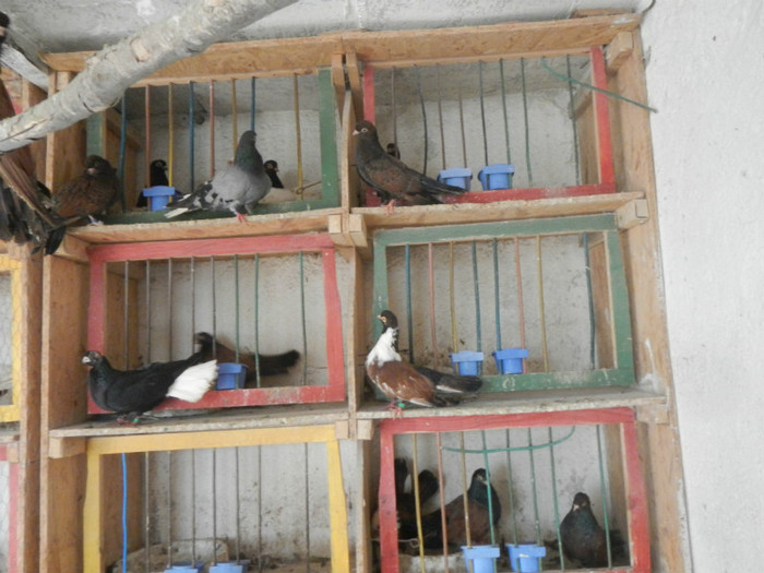 DSCN8100 - Vrapciu 1