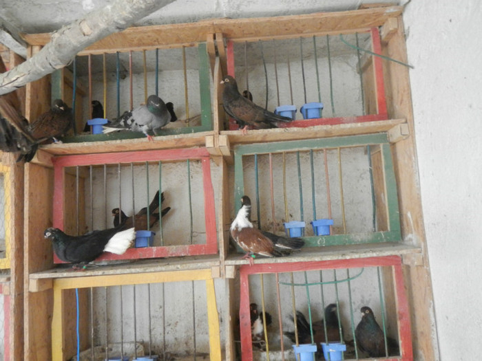 DSCN8101 - Vrapciu 1