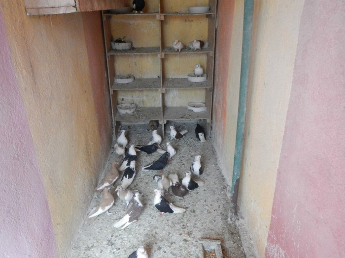 DSCN8028 - Vrapciu 2