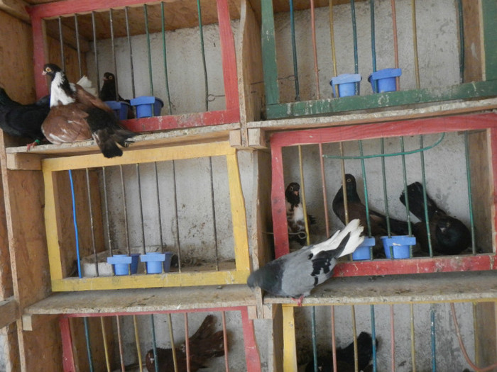 DSCN8114 - Vrapciu 1